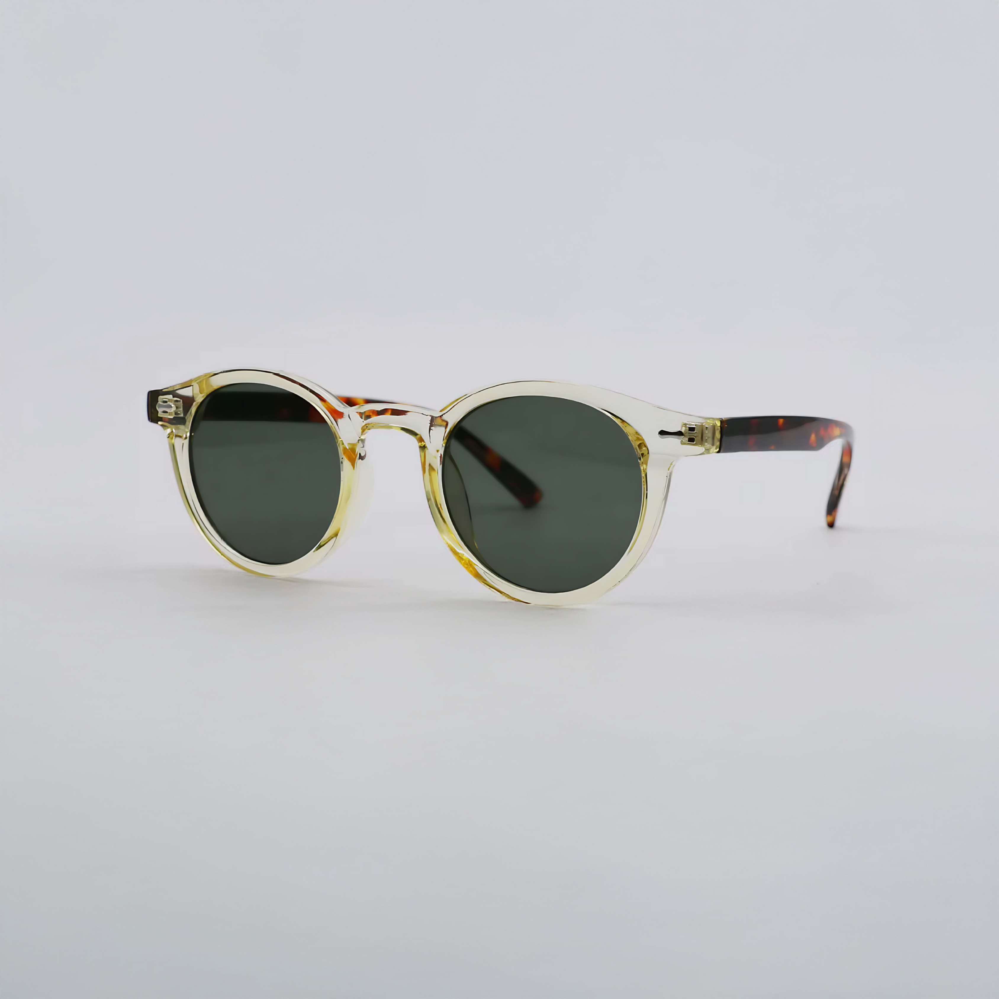 SARO | Tortoise