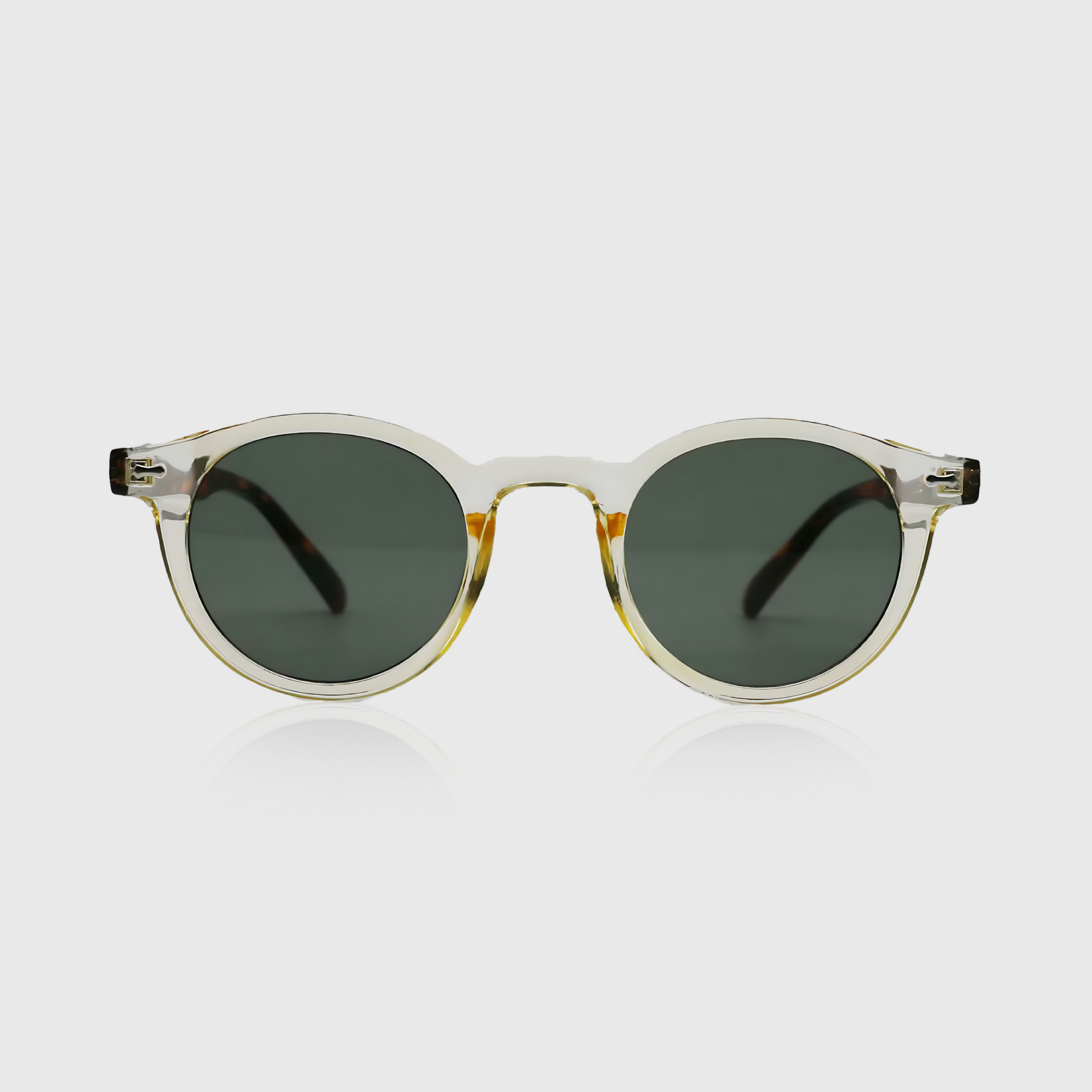 SARO | Tortoise